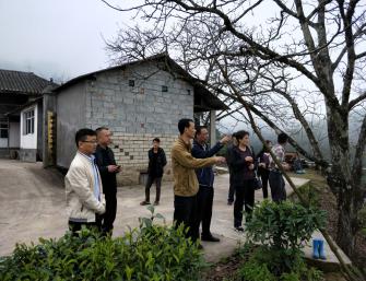 图片4.jpg 图片4.jpg