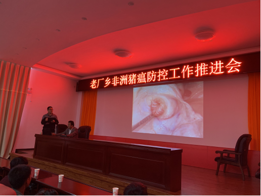 图片9.png