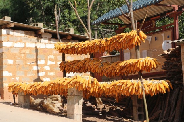 IMG_8759.JPG IMG_8759.JPG