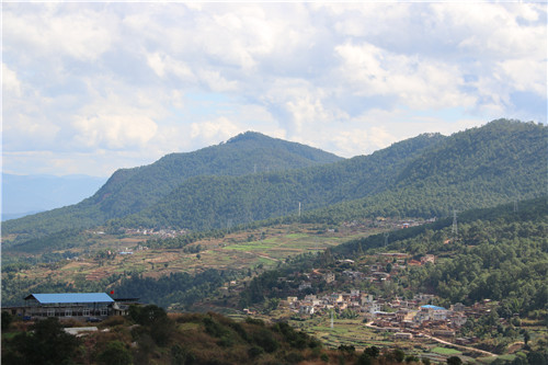 IMG_9539_副本.jpg