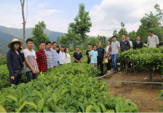 图片2.png 图片2.png