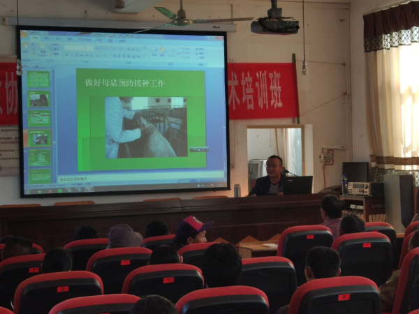 政协2.jpg