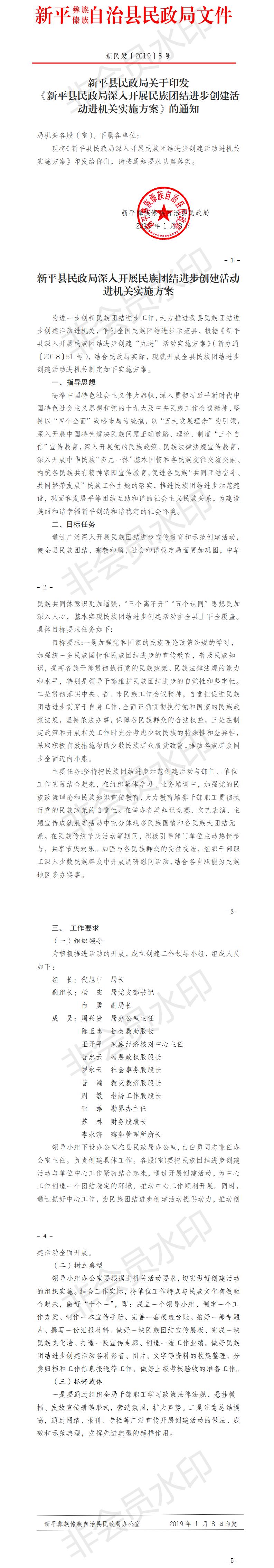 新民发〔2019〕5号  新平县民政局关于印发《新平县民政局深入开展民族团结进步创建活动进机关实施方案》的通知.jpg