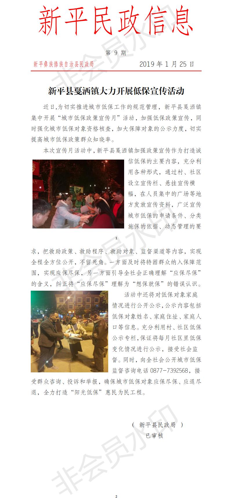 第9期  新平县戛洒镇大力开展低保宣传活动.jpg