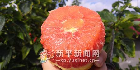 IMG_20190115_132153