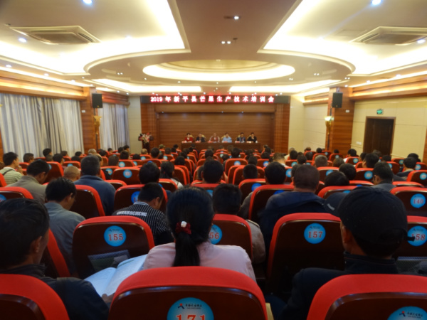 芒果培训会1.jpg