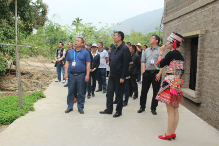 市级初验组到下灯笼实地查看.jpg 市级初验组到下灯笼实地查看.jpg