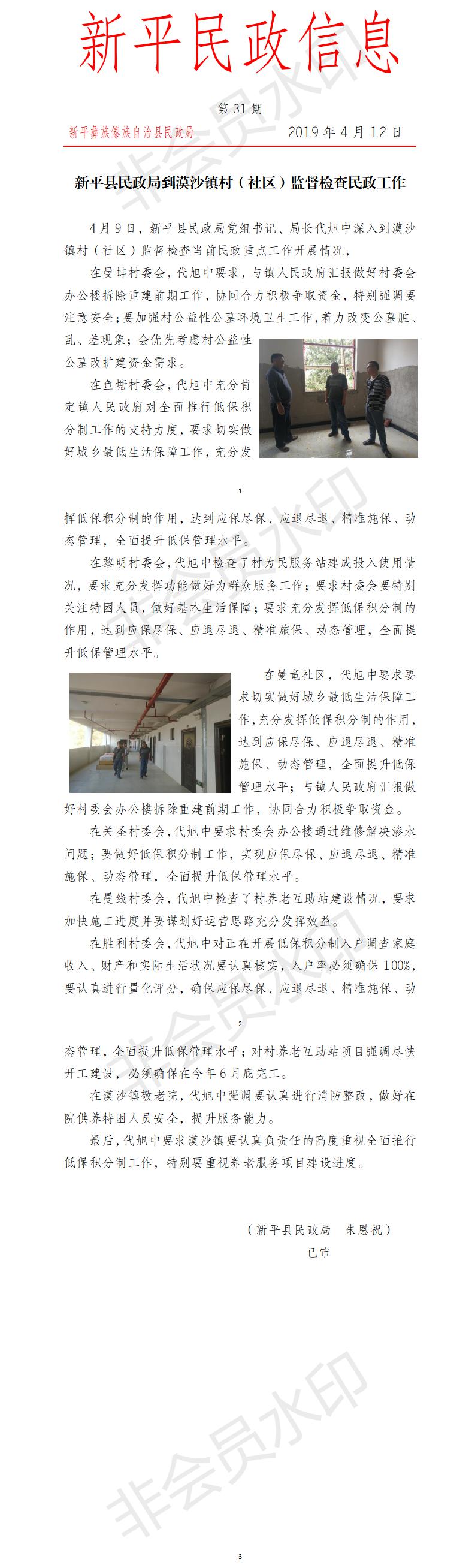 第31期  新平县民政局到漠沙镇村（社区）监督检查民政工作.jpg
