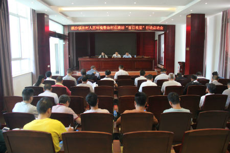 漠沙镇召开农村人居环境整治村庄清洁“百日攻坚”行动启动会.jpg 漠沙镇召开农村人居环境整治村庄清洁“百日攻坚”行动启动会.jpg