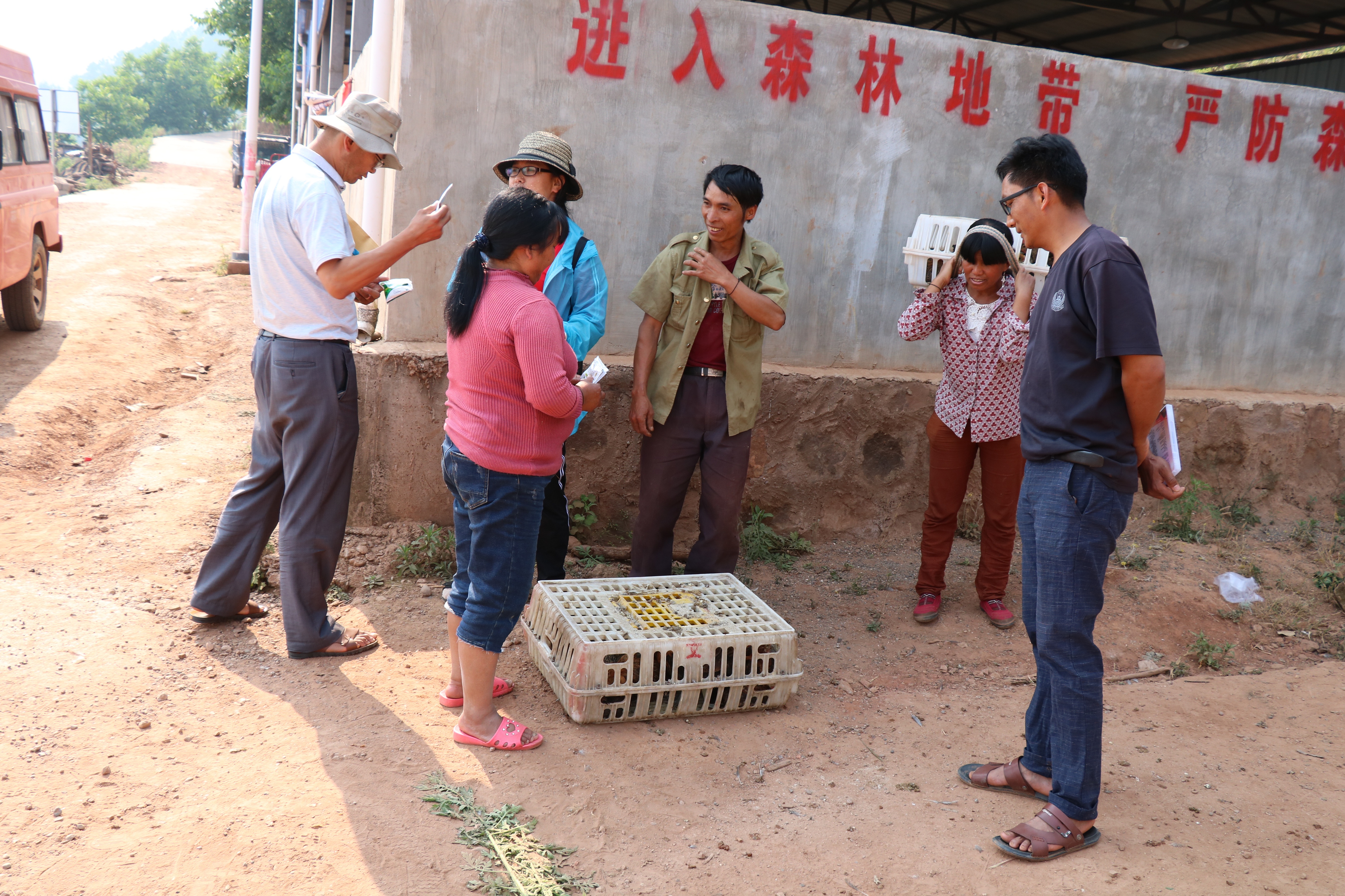 IMG_1151 0.jpg IMG_1151 0.jpg