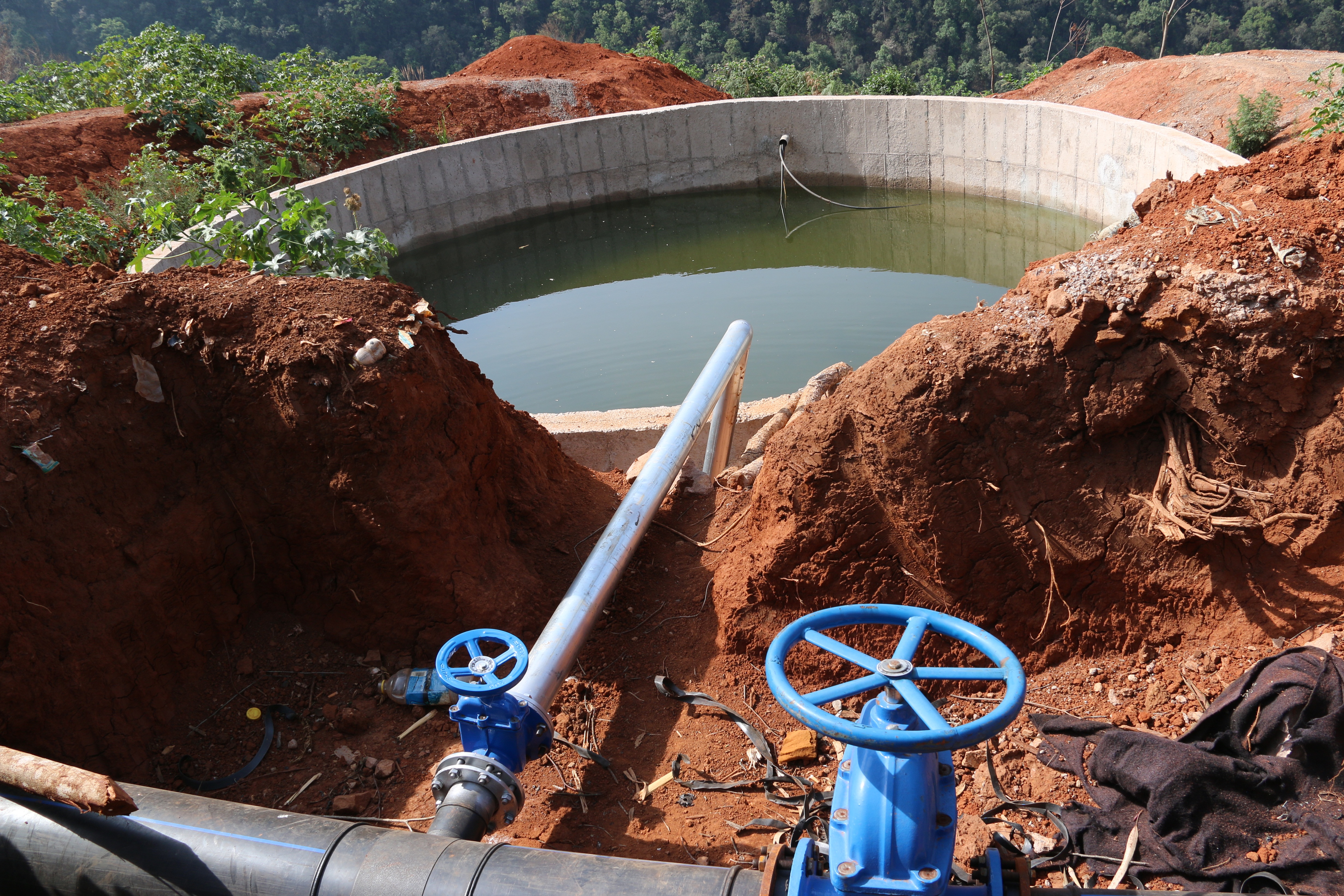 IMG_4131 0.jpg IMG_4131 0.jpg