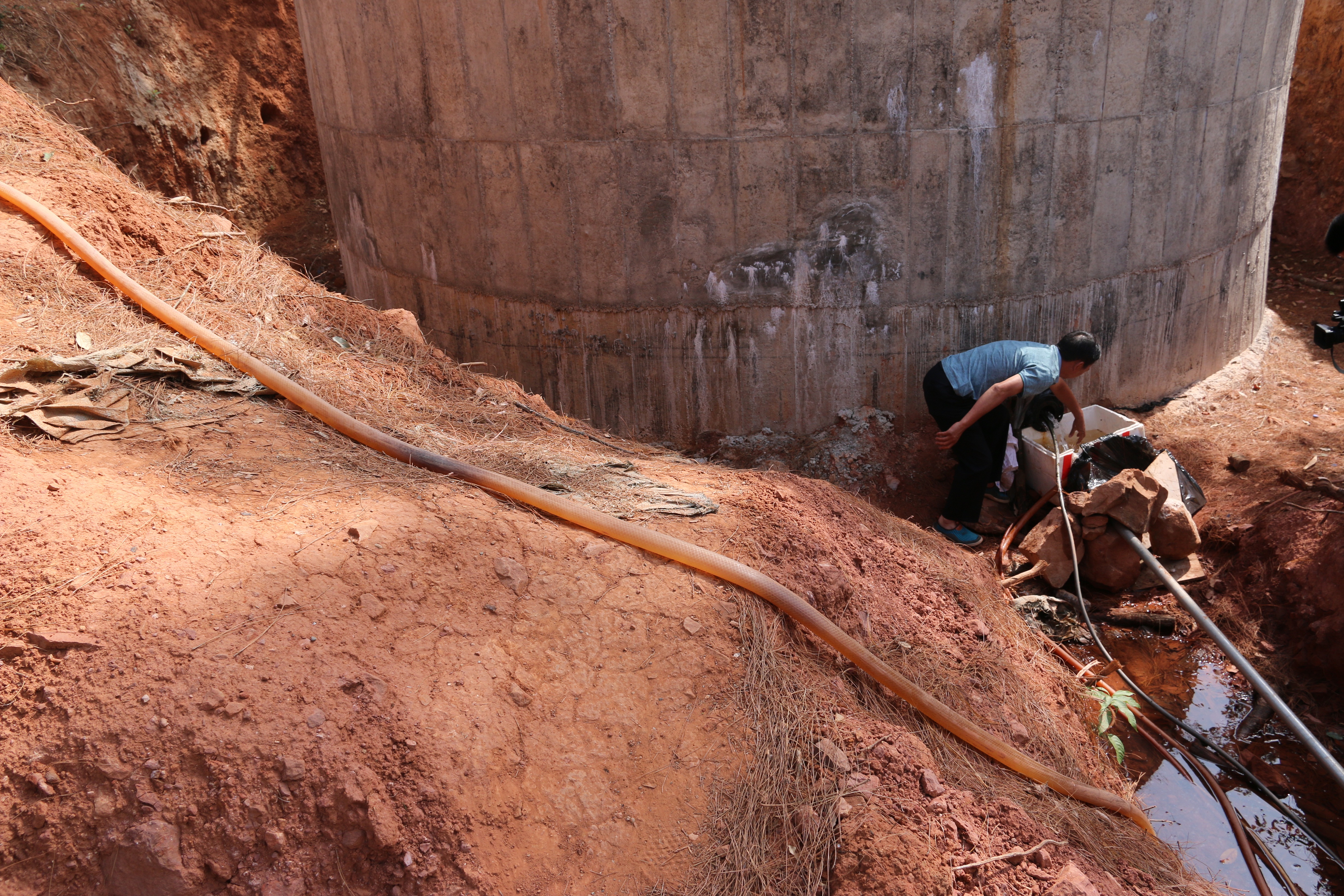 IMG_4162 0.jpg IMG_4162 0.jpg