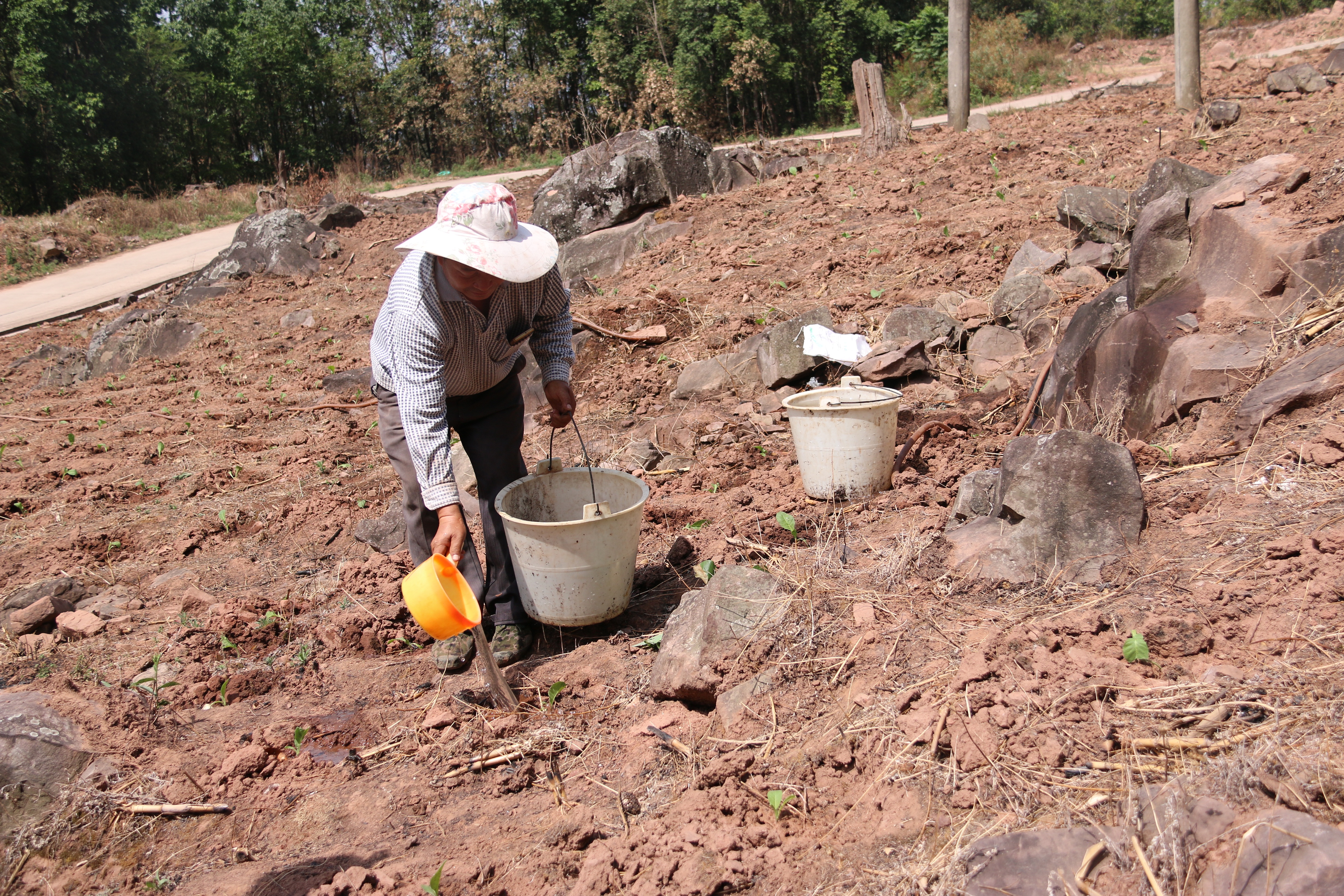 IMG_4199 0.jpg IMG_4199 0.jpg