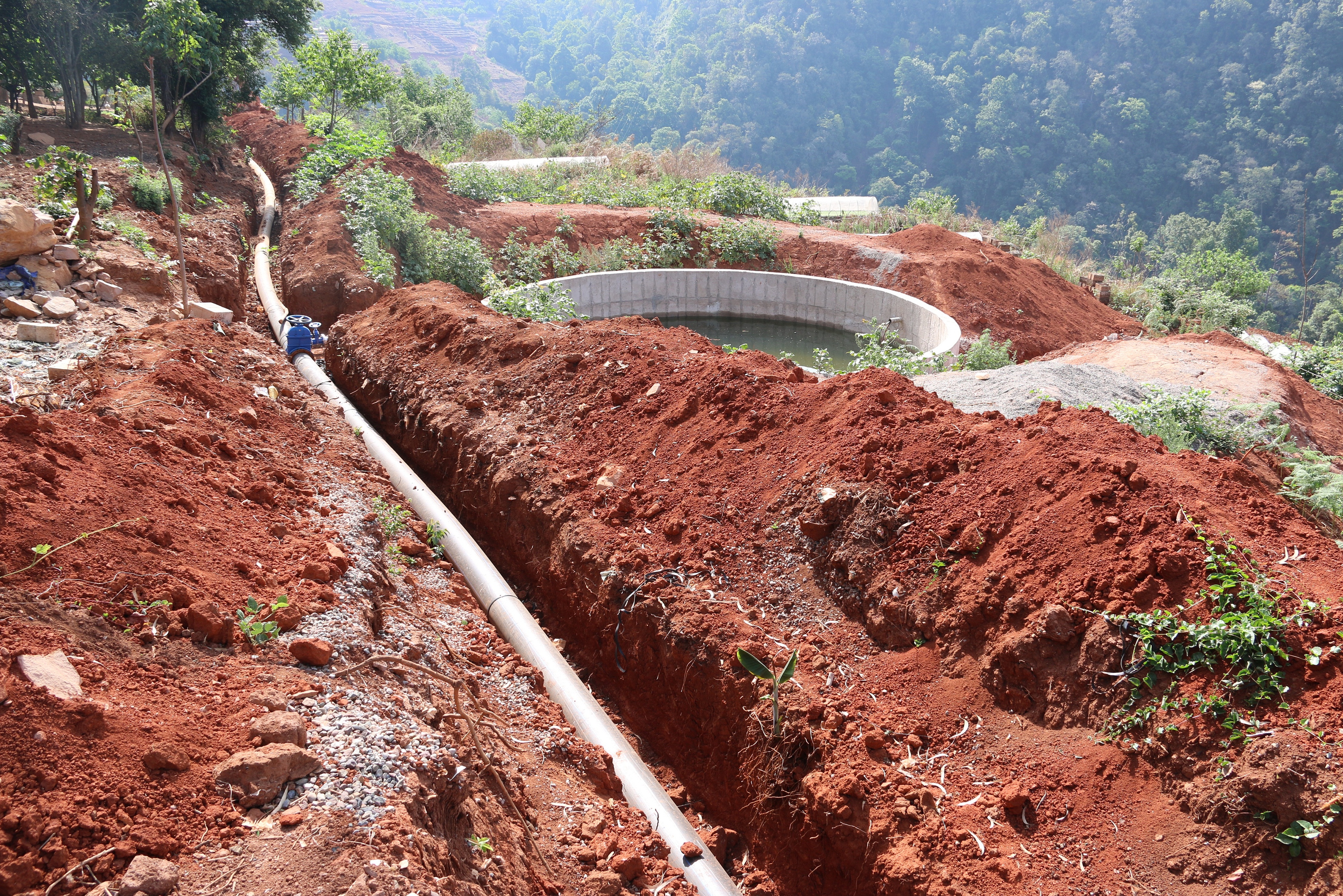 IMG_4127 0.jpg IMG_4127 0.jpg