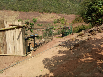 图片4.png 图片4.png