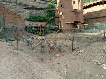 图片6.png 图片6.png