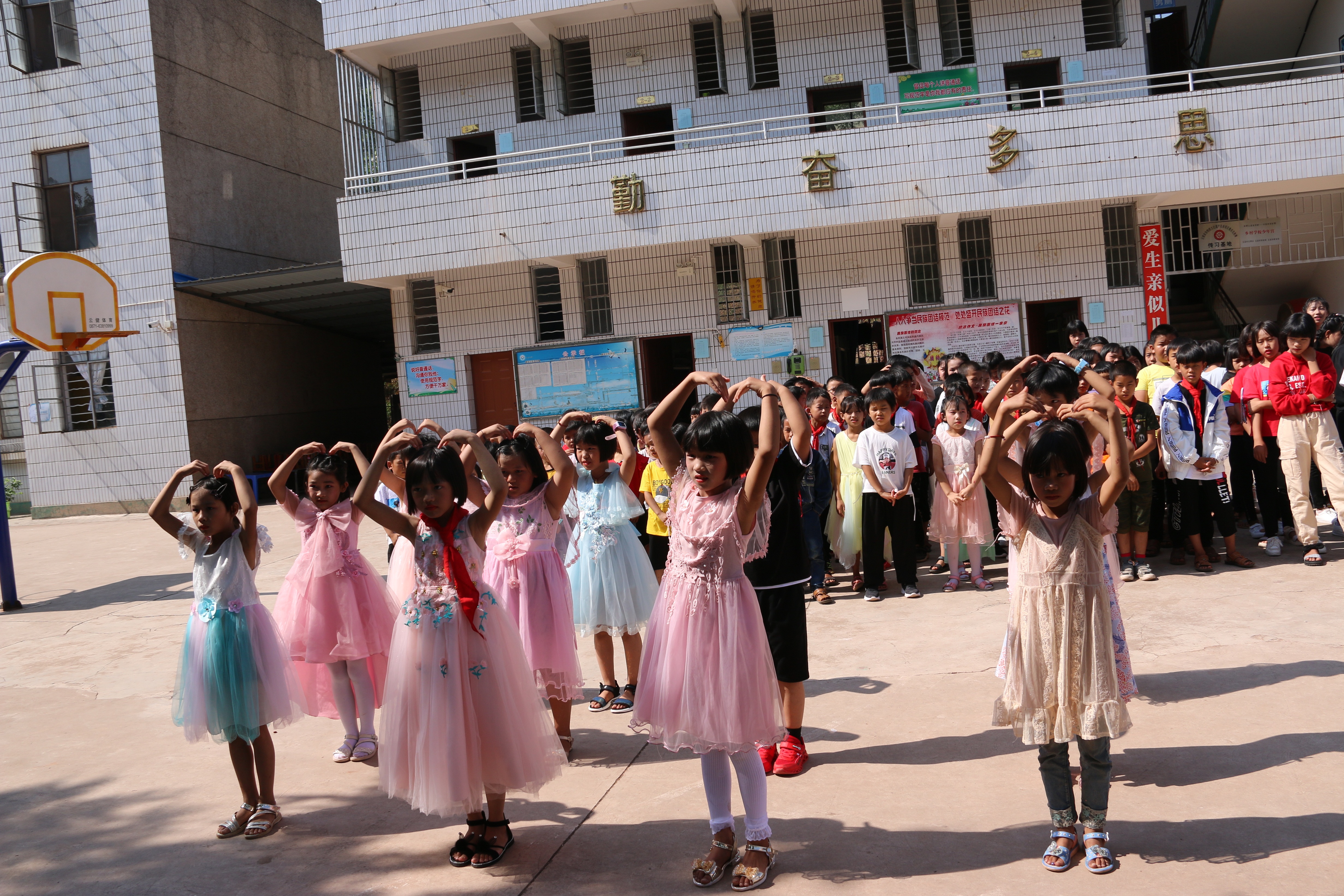 IMG_4766 0.jpg IMG_4766 0.jpg