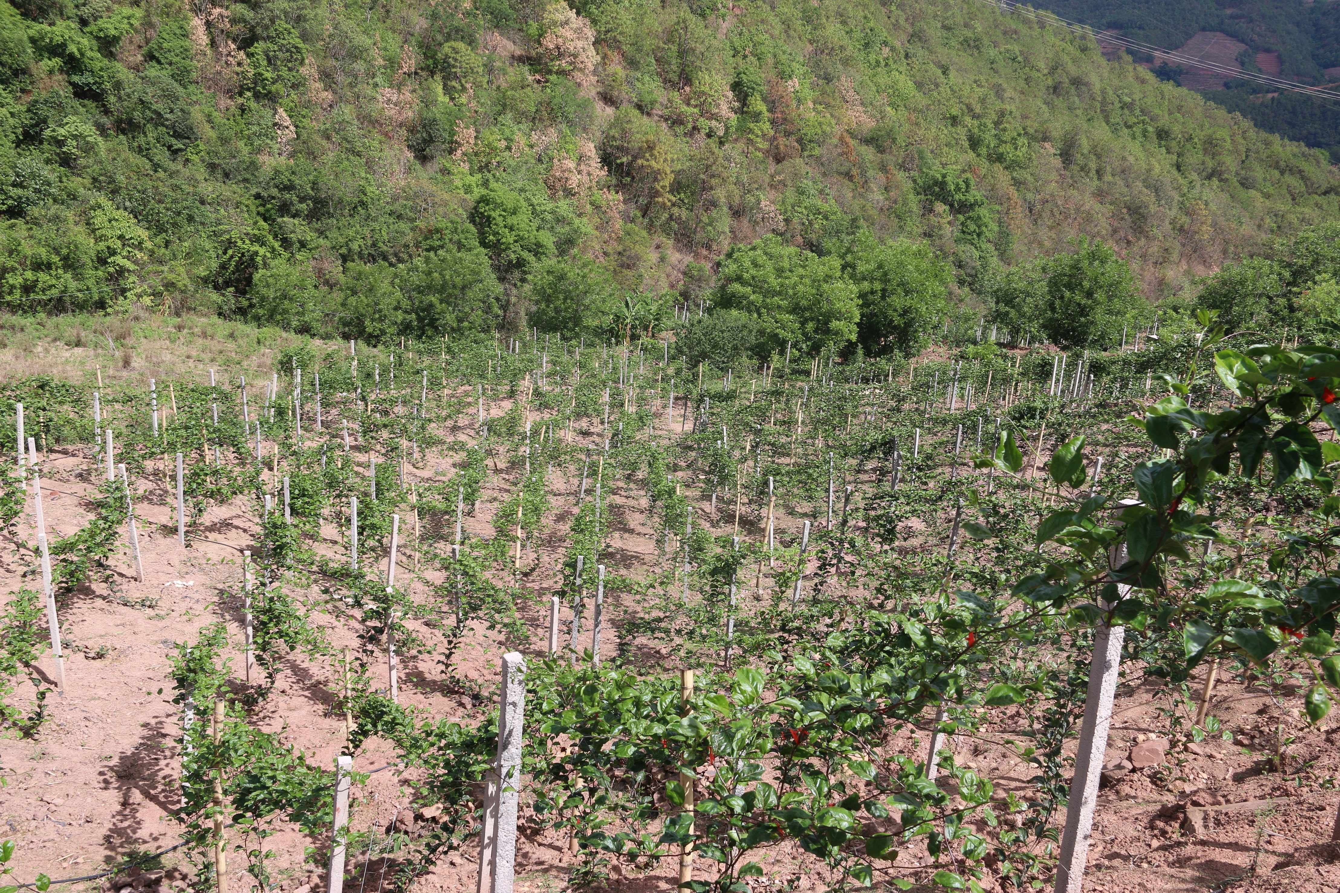 IMG_5464.JPG IMG_5464.JPG