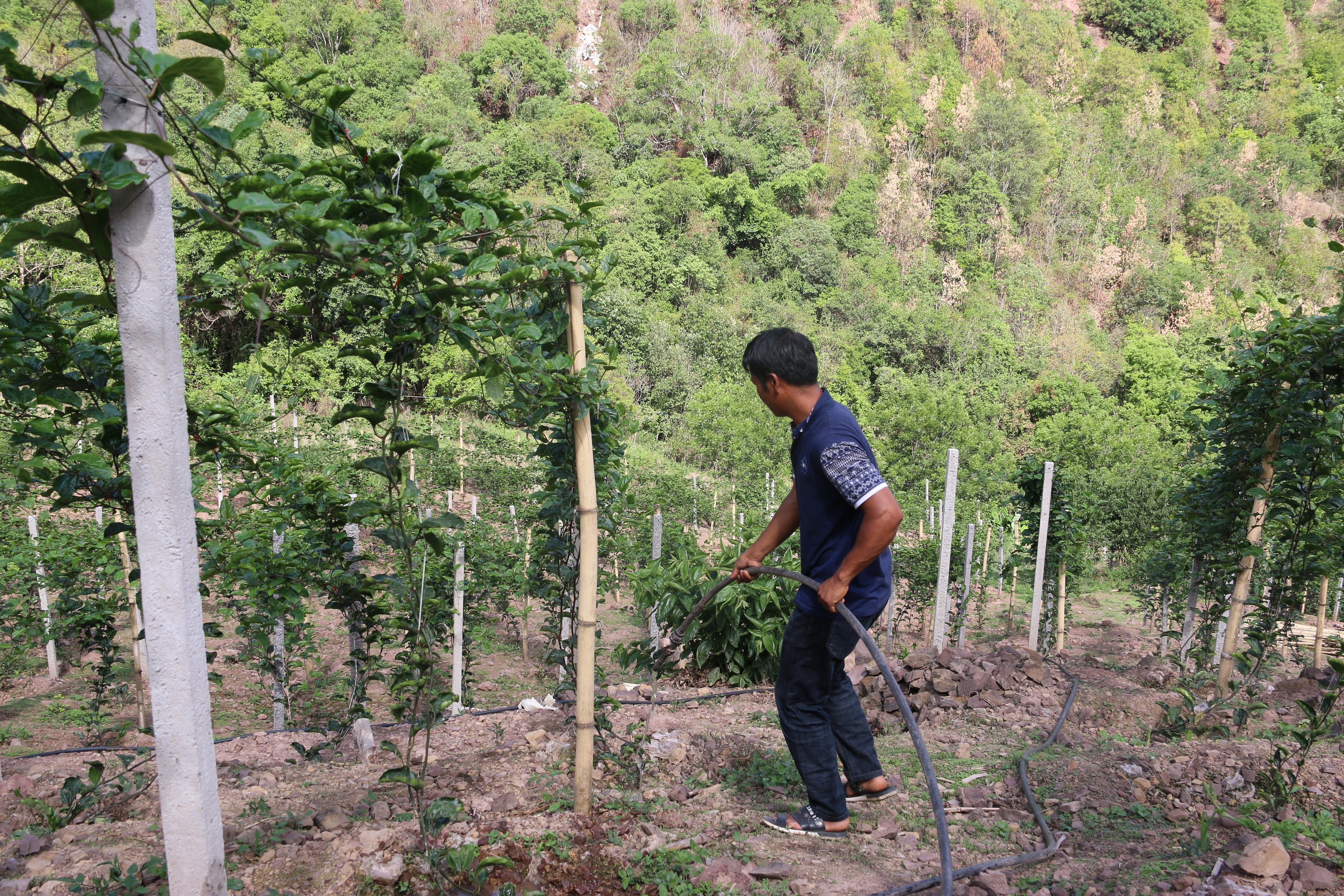 IMG_5477.JPG IMG_5477.JPG