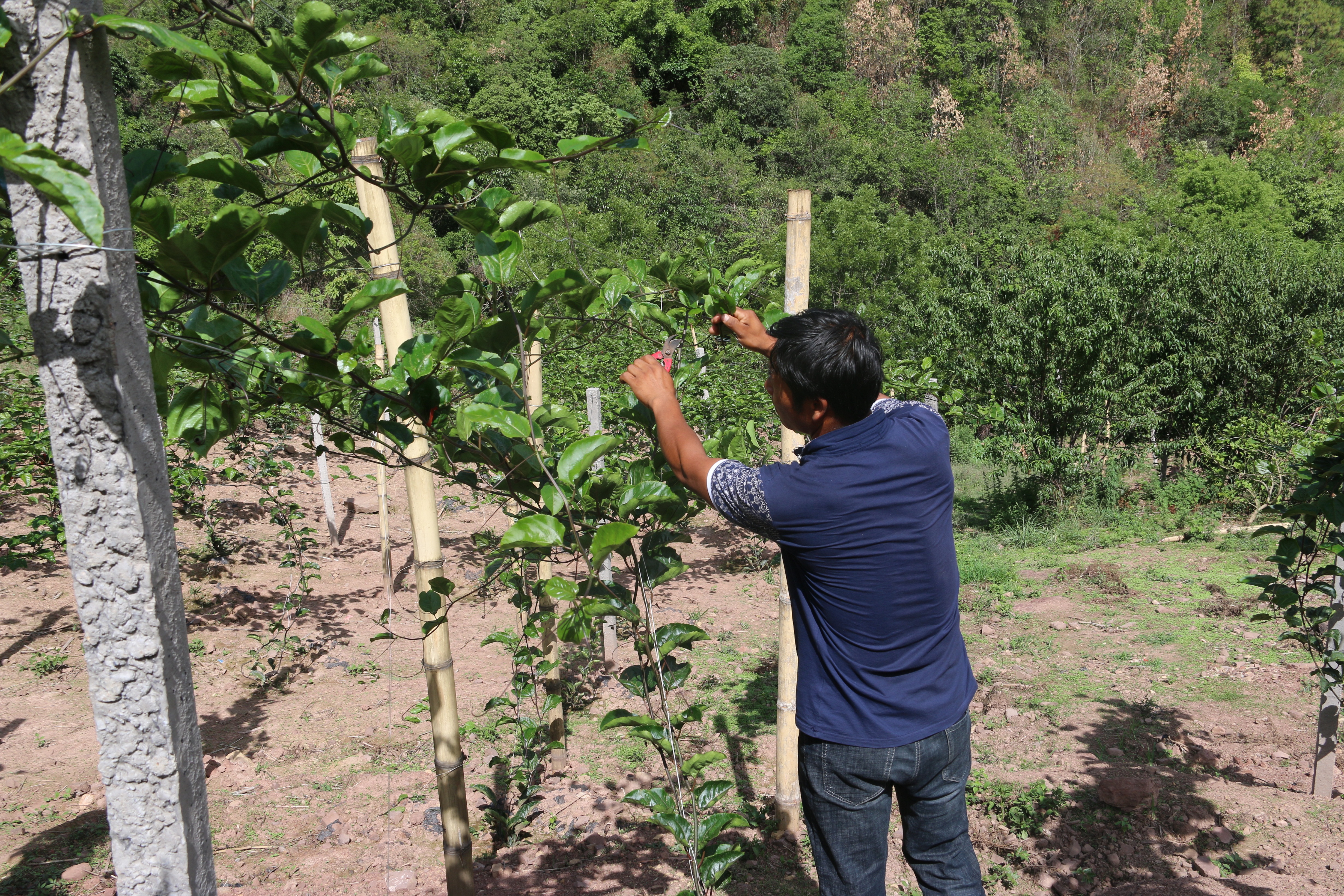 选用照片 (1).JPG 选用照片 (1).JPG