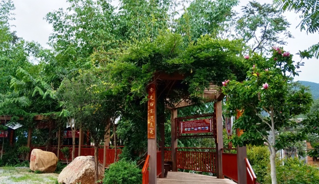 IMG20190722143942.jpg