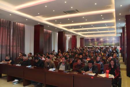 IMG_8321 (2).jpg IMG_8321 (2).jpg