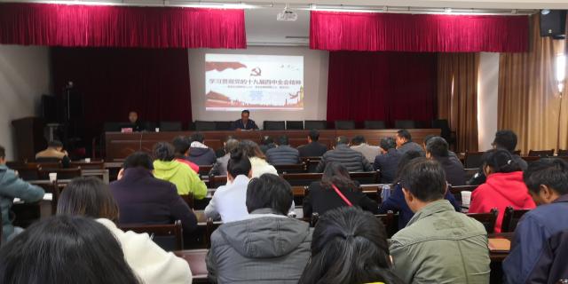IMG_20191216_090147.jpg