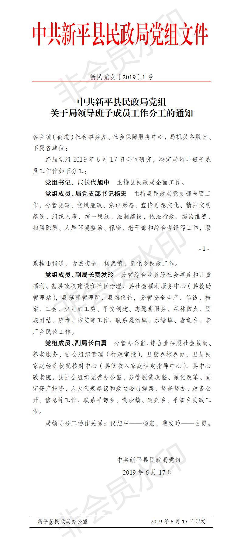 新民党发〔2019〕1号  关于局领导班子成员工作分工的通知.jpg