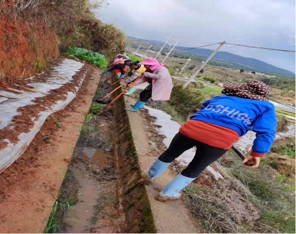 他2.1.png 他2.1.png