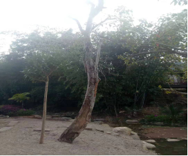 古3.3.png 古3.3.png