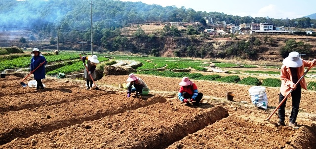 IMG20200207145743.jpg IMG20200207145743.jpg