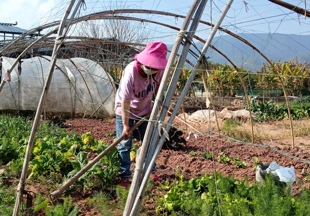 IMG20200207154306.jpg IMG20200207154306.jpg