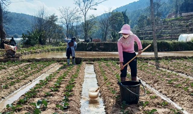 IMG20200207151831.jpg IMG20200207151831.jpg