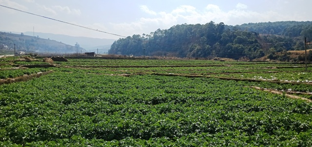 IMG20200207145047.jpg IMG20200207145047.jpg