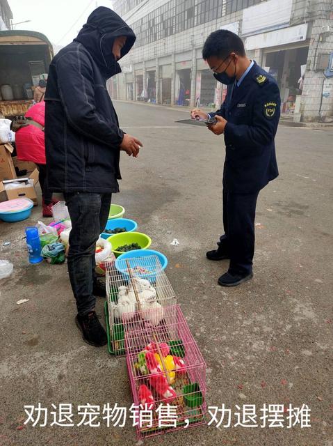 QQ图片20200131214431.jpg