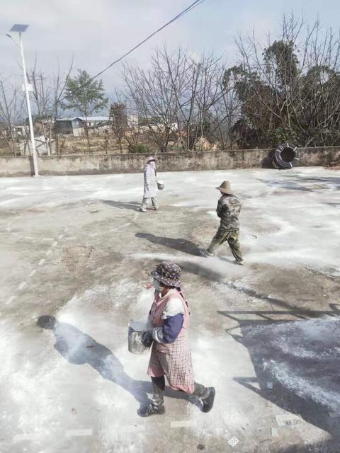微信图片_20200204155430.jpg