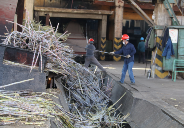 图片32.0.png 图片32.0.png