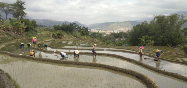 图片33.0.png 图片33.0.png