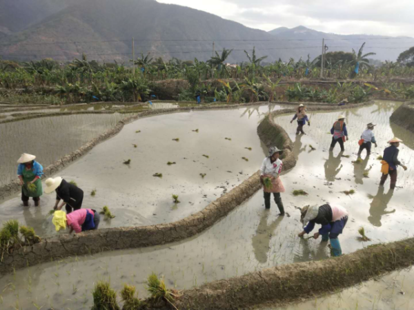 图片34.0.png 图片34.0.png