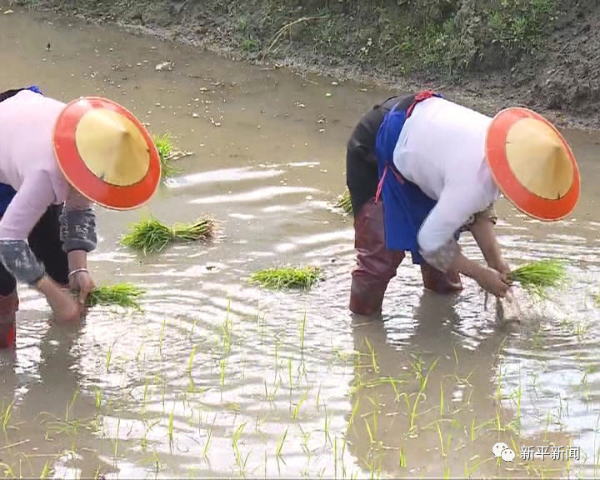 图片35.0.png 图片35.0.png