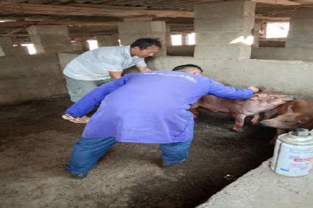 微信图片_20200311082941 (5).jpg