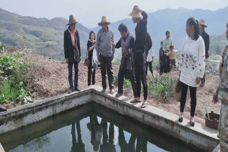 微信图片_20200311082941 (6).jpg 微信图片_20200311082941 (6).jpg