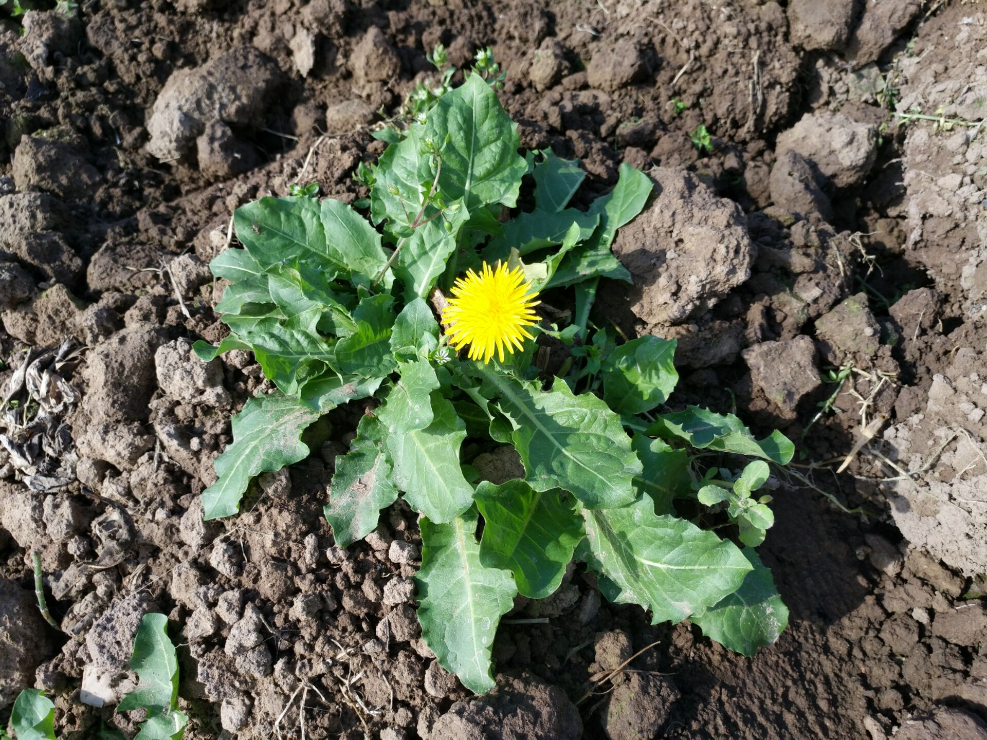 来源新平县人民政府网索引号发布时间20190315091818