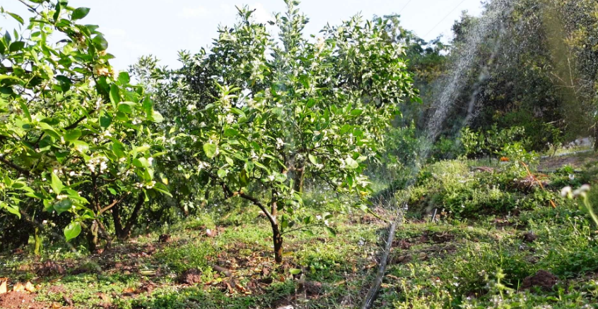 图片6.png 图片6.png