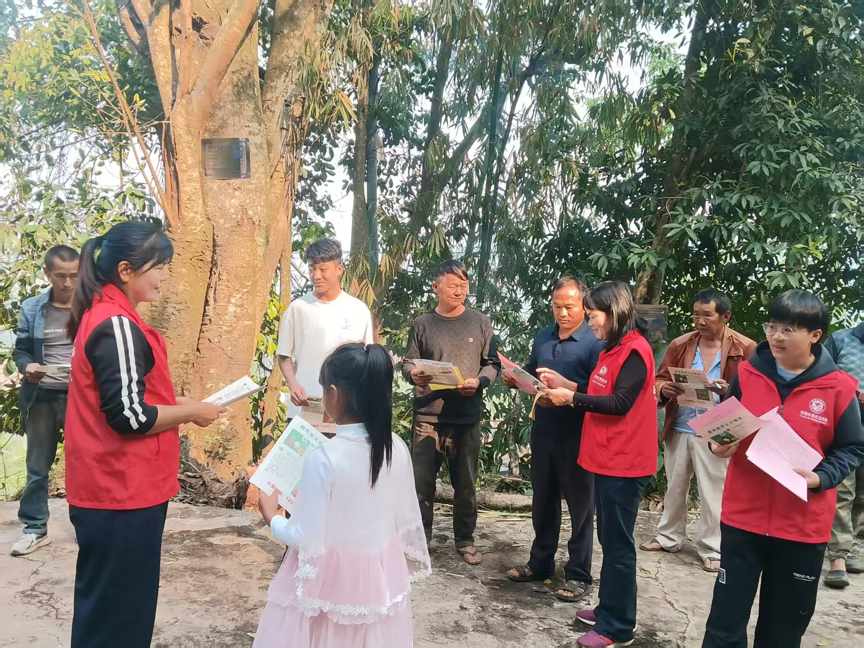 图片1.png 图片1.png