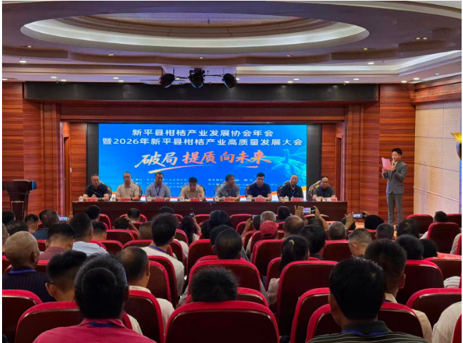 新平：专家献策助力柑桔破局提质