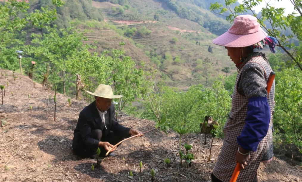 QQ截图20200422162127.png QQ截图20200422162127.png