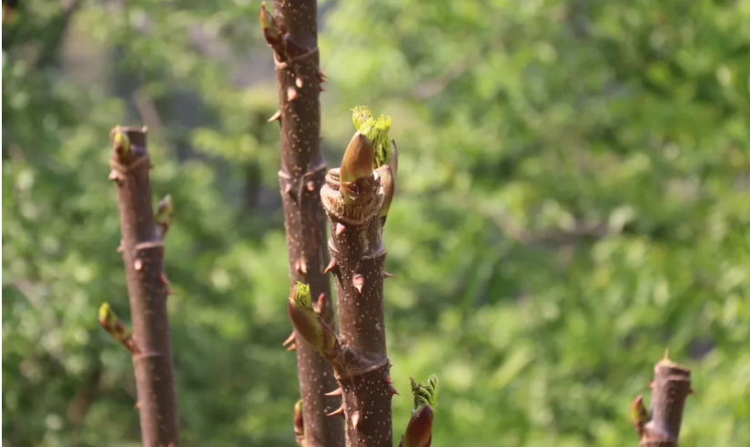 QQ截图20200422164307.png QQ截图20200422164307.png