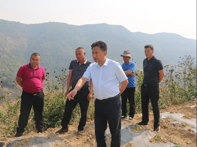 微信图片_20200423080708.jpg 微信图片_20200423080708.jpg