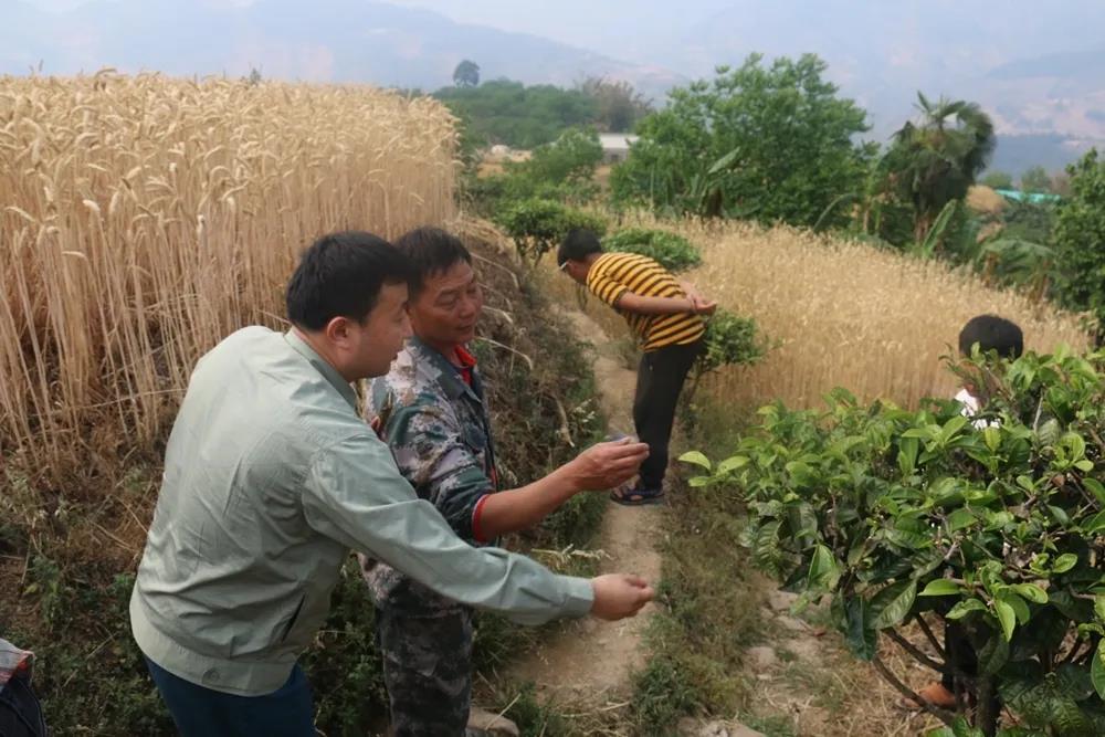 微信图片_20200503113041.jpg 微信图片_20200503113041.jpg